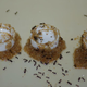 Black imported fire ants using sand to draw liquid from containers.